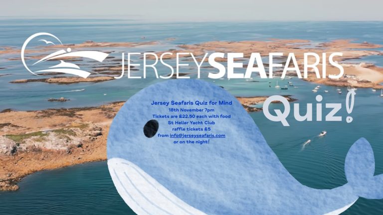 Jersey Seafaris Quiz for Mind Jersey